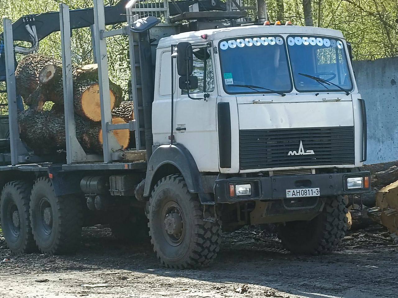 Лесовоз вездеход. МАЗ вездеход лесовоз. Снегоболотоход лесовоз.